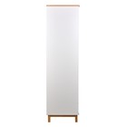 Шкаф двухсекционный Polini Kids Simple 3410, с ящиком, цвет белый-натуральный 10054466 - фото 319917721