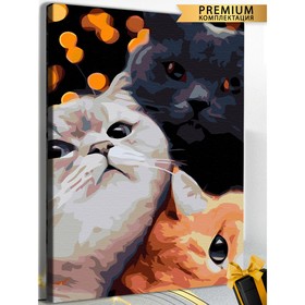 Картина по номерам «Три кота» холст на подрамнике, 40 × 60 см
