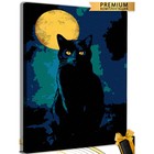 Картина по номерам «Кот при луне» холст на подрамнике, 40 × 50 см - фото 320083448