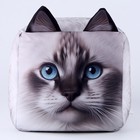 Антистресс кубы «кот», белый - фото 7515829