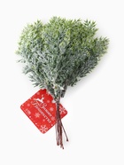 Еловая ветка декоративная «Зимнее волшебство. Можжевельник блеск», 15 см 9698929