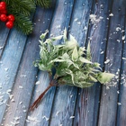 Еловая ветка декоративная «Зимнее волшебство. Сальвия блеск», 13 см - фото 60124412