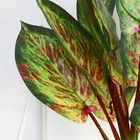 Искусственный цветок в горшке «Аглаонема крит», 9×26 см - Фото 3