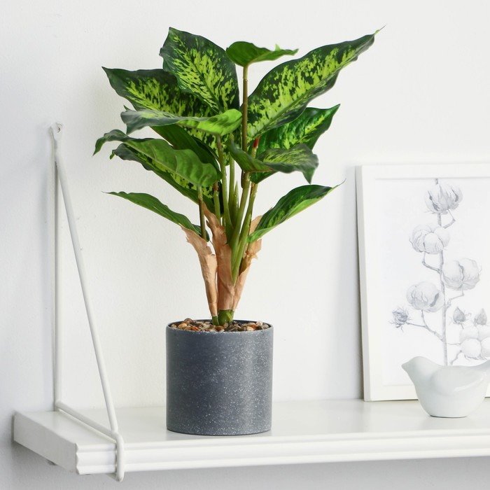 Искусственный цветок в горшке «Диффенбахия пятнистая», 9×32 см - Фото 1