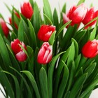 Бонсай в горшке "Тюльпаны и зелень" 9х18 см, микс - Фото 2