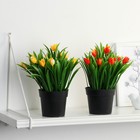 Бонсай в горшке "Тюльпаны и зелень" 9х18 см, микс - Фото 3
