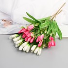 Букет "Крокус" 2х30 см, микс (комплект 2 шт) - фото 24580790