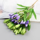 Букет "Крокус" 2х30 см, микс (комплект 2 шт) - фото 24580791