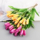 Букет "Крокус" 2х30 см, микс (комплект 2 шт) - фото 24580792