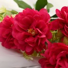 Букет "Гортензия  галант" 7х27 см, микс 9789656