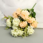 Букет "Гортензия  галант" 7х27 см, микс 9789656