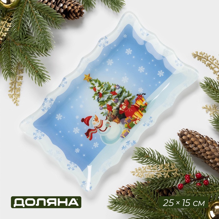 Блюдо новогоднее прямоугольное Доляна «Зимняя сказка», 25×15 см, стекло - Фото 1