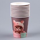Стакан одноразовый бумажный "Котик",мяу, 250мл 9826254