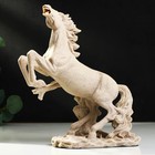 Статуэтка полистоун «Конь на дыбах» 26 х 14 х 33 см - Фото 1