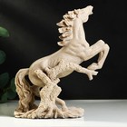 Статуэтка полистоун «Конь на дыбах» 26 х 14 х 33 см - Фото 3