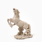 Статуэтка полистоун «Конь на дыбах» 26 х 14 х 33 см - Фото 4