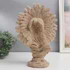 Сувенир полистоун "Дочь вождя" песочный 8х20х31 см - фото 22816017