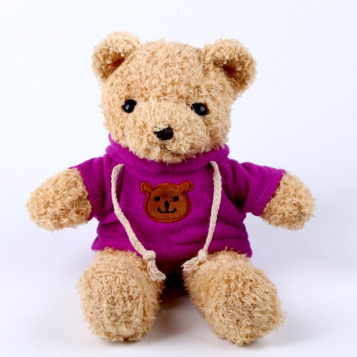 Мягкая игрушка «Медведь» в кофте, 30 см, цвет фиолетовый - Фото 1