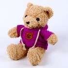 Мягкая игрушка «Медведь» в кофте, 30 см, цвет фиолетовый - Фото 2