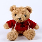Мягкая игрушка «Медведь» в кофте, 30 см, цвет красный - фото 68799845