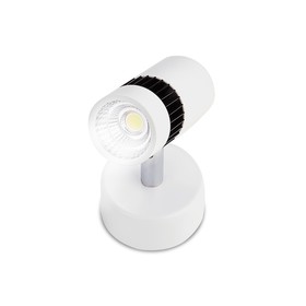 Светильник накладной светодиодный Ambrella light, Move, TN101/5W WH/BK, LED, 425Lum, 4200К, цвет белый, чёрный