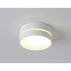 Светильник накладной точечный GX53 с акрилом Ambrella light, IP Protect, TN5391, GX53, цвет белый, белый матовый - Фото 2