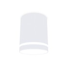 Светильник накладной точечный с акрилом Ambrella light, Techno, TN3202, GU5.3, цвет белый песок - фото 291752799