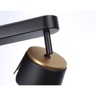 Спот настенно-потолочный поворотный со сменной лампой Ambrella light, Techno family, TN71231, 2хGX53, цвет чёрный, золото - Фото 4
