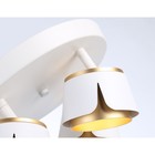 Спот настенно-потолочный поворотный со сменной лампой Ambrella light, Techno family, TN71241, 4хGX53, цвет белый, золото - Фото 4