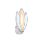 Настенный светодиодный светильник FA453, 16Вт, 260х180х60 мм, цвет белый - фото 4129480