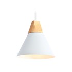 Подвесной светильник в стиле лофт TR8195, E27, 40Вт, 230х230х215 мм, цвет белый, светлое дерево - фото 4130817