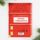 Блокнот новогодний желаний А6, 32 л., «Новогодняя ПОЧТА», мягкая обложка 9722413 - фото 3131601