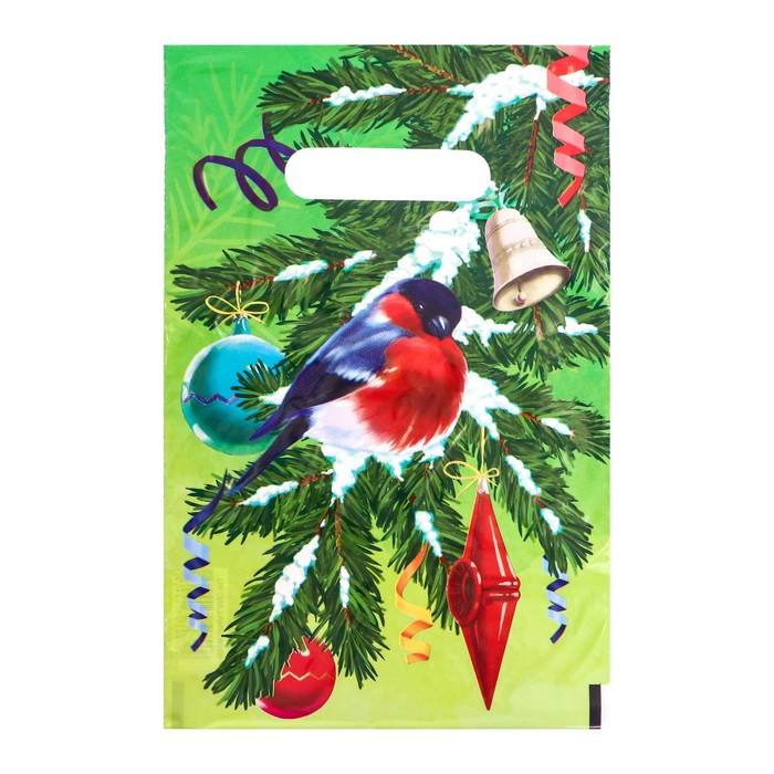 Пакет "Красногрудый снегирь", полиэтиленовый с вырубной ручкой, 20х30 см, 30 мкм - Фото 1
