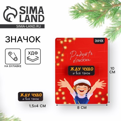 Значок новогодний «Радуйте близких», 4×1.5 см