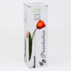 Ваза для цветов стекло «Колеро» для цветов, прямая, 27 см, 1.1 л. - Фото 5