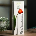 Ваза "Эмма" прямая - фото 806143478 Ваза "Эмма" прямая - фото 806143478