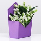 Конверт трапеция  однотонный, фиолетовый 19,5х 23 х 8 см - фото 22912145