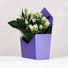 Конверт трапеция  однотонный, фиолетовый 19,5х 23 х 8 см - фото 23931844