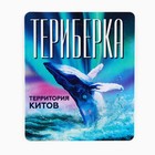Магнит виниловый «Териберка», 6 х 7 см - фото 22922251