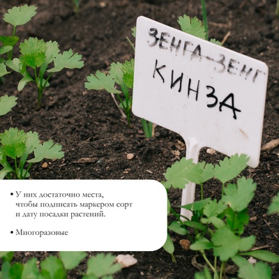 Таблички садовые, для маркировки растений, 12 см, набор 20 шт., пластик, белые, Greengo
