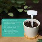 Таблички садовые, для маркировки растений, 20 см, набор 10 шт., пластик, белые, Greengo - Фото 3