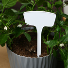 Таблички садовые, для маркировки растений, 20 см, набор 10 шт., пластик, белые, Greengo - Фото 6