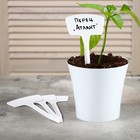 Таблички садовые, для маркировки растений, 20 см, набор 10 шт., пластик, белые, Greengo - Фото 7