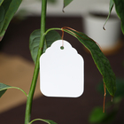 Бирки садовые для маркировки, 6,5 × 5 см, набор 20 шт., пластик, белые, Greengo - Фото 6