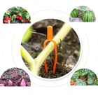 Зажим для растений, набор 20 шт., пластик, Greengo 9682390