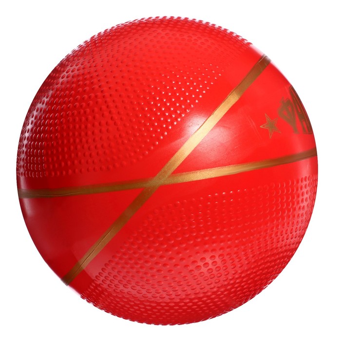 Мяч «Фаворит», диаметр — 200 мм - фото 1899061537