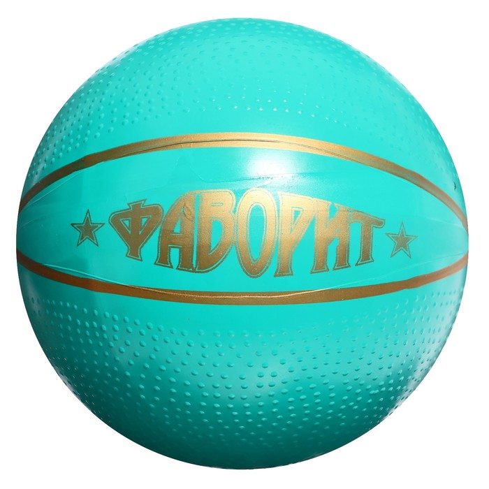 Мяч «Фаворит», диаметр — 200 мм - фото 1899061539