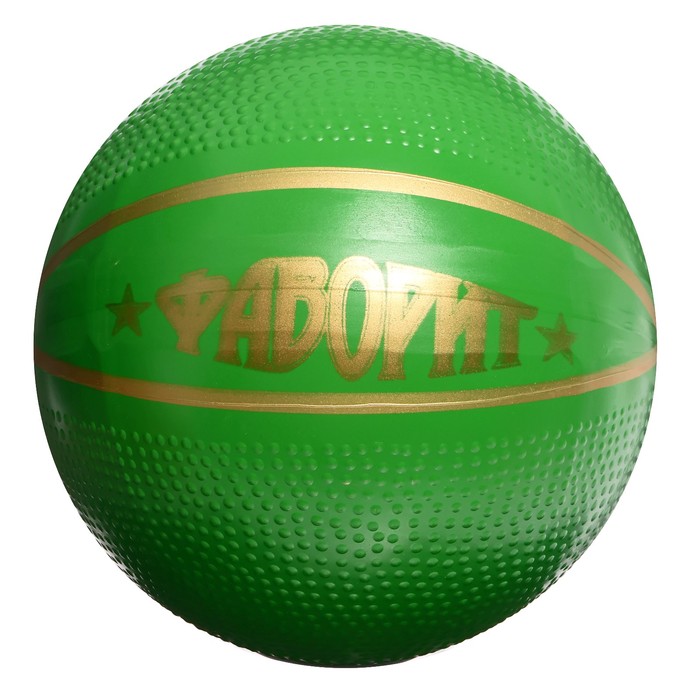 Мяч «Фаворит», диаметр — 200 мм - фото 1899061540