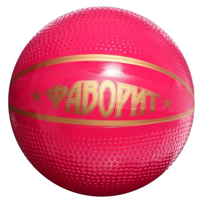 Мяч «Фаворит», диаметр — 200 мм - фото 1899061541