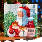 Салфетки новогодние бумажные Home Collection «Дед Мороз и котята», 3 слоя, 33×33 см, 20 шт. - Фото 5